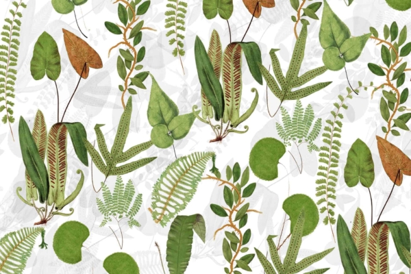 Nature-inspired wallpaper featuring green and brown tropical leaves and ferns on a white background. Showcases botany-themed design with elongated, heart-shaped, and frond-like leaves in various shapes and sizes.