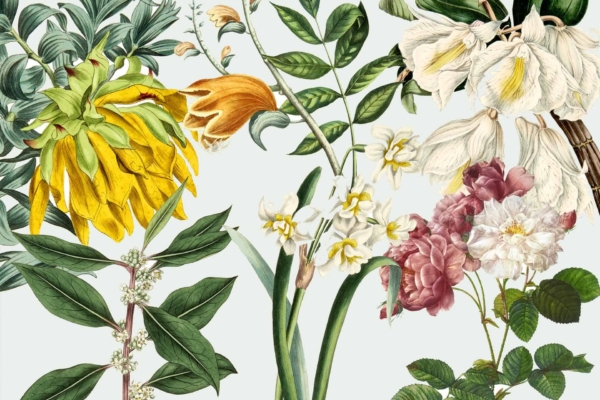 Illustrated botanical wallpaper titled "She's No Wallflower" features:

- Large yellow flowers
- White trumpet-shaped blooms
- Clusters of pink and white roses
- Green foliage
- Delicate stems 

This design captures nature’s vibrant beauty with bold and colorful elements.