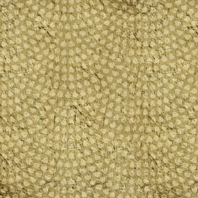 Textured wallpaper with a repeating pattern of light beige teardrop shapes arranged in semi-circles, set against a darker beige, slightly wrinkled surface. The design exudes a vintage, aged look with visible wear and subtle cracks, reminiscent of Skilpad's weathered shell. Elements: light beige teardrops, semi-circular patterns, darker beige background. Colors: light beige and darker beige with an aged finish.