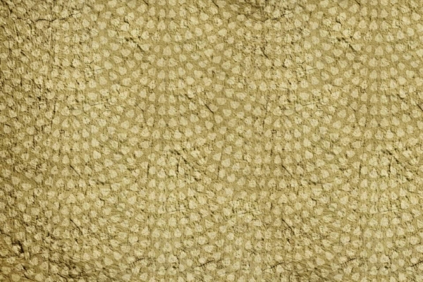 Textured wallpaper with a repeating pattern of light beige teardrop shapes arranged in semi-circles, set against a darker beige, slightly wrinkled surface. The design exudes a vintage, aged look with visible wear and subtle cracks, reminiscent of Skilpad's weathered shell. Elements: light beige teardrops, semi-circular patterns, darker beige background. Colors: light beige and darker beige with an aged finish.