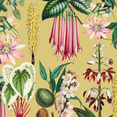A vibrant wallpaper featuring tropical plants and flowers against a mustard yellow background. Includes pink passionflowers, bell-shaped red blossoms, heart-shaped variegated leaves, and yellow bottlebrush spikes set amidst colorful foliage. Reminiscent of a Southern Belle's garden. Stunning botanical elements with a rich color palette.