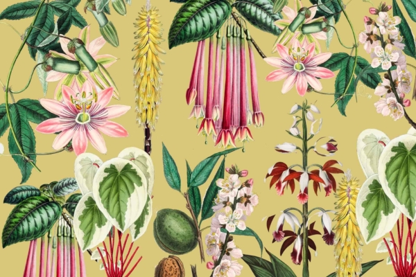 A vibrant wallpaper featuring tropical plants and flowers against a mustard yellow background. Includes pink passionflowers, bell-shaped red blossoms, heart-shaped variegated leaves, and yellow bottlebrush spikes set amidst colorful foliage. Reminiscent of a Southern Belle's garden. Stunning botanical elements with a rich color palette.