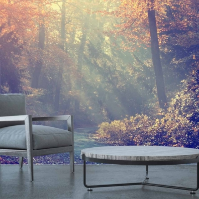 Forest mural with sunbeams, autumn trees, warm light, serene glow, filtering sunlight, nature scene.
