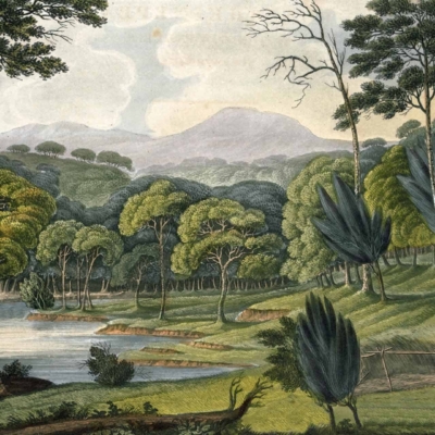A lush forest with tall trees and dense vegetation wallpaper. Background featuring hills under a lightly clouded sky. Foreground showcases a campfire with smoke, a small dog, and the edge of a lake. Rich greens, earthy browns, blue sky with soft white clouds, warm orange glow from the campfire. Perfect for starting over.
Keywords: lush forest wallpaper, tall trees background, dense vegetation scenery, hills under cloudy sky art, campfire foreground image, small dog by lake design.