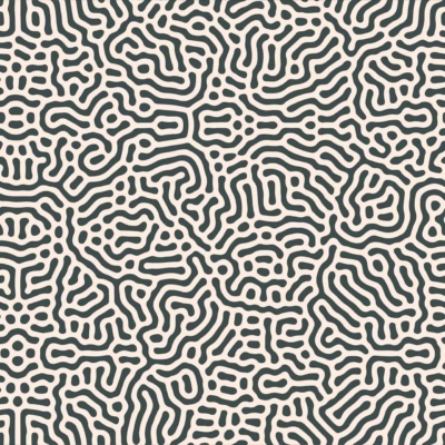 An abstract black-and-white wallpaper features interconnected wavy lines and intricate shapes, resembling a maze or circuit board. This visually complex and repetitive pattern evokes the idea of a status symbol with its detailed texture spread across the entire image. The primary elements are wavy lines and structured shapes, highlighted in contrasting black and white colors.