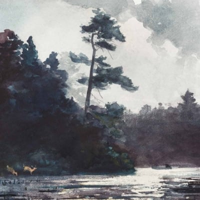 A watercolor wallpaper shows a serene lakeside scene with a tall, slender tree against a misty sky. Dark forests and shadows fill the left side, while faint sunlight glimmers on the calm water. Colors include soft blues, grays, greens, and touches of pale gold.