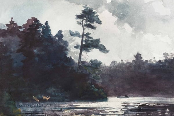 A watercolor wallpaper shows a serene lakeside scene with a tall, slender tree against a misty sky. Dark forests and shadows fill the left side, while faint sunlight glimmers on the calm water. Colors include soft blues, grays, greens, and touches of pale gold.