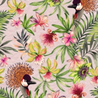 Vibrant tropical wallpaper featuring exotic birds with striking plumage, lush greenery, colorful orchids, hibiscus, and passionflowers against a light background. Rich hues of green leaves mixed with bright pinks, reds, purples, and yellows in the flowers. Lush and vivid elements create a lively scene ideal for search purposes.