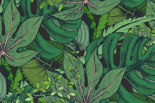 This wallpaper illustration features an array of tropical leaves, closely arranged to create a dense, lush appearance. Among them are Monstera leaves, known for their distinctive splits and holes. These supersized leaves boast intricate shading and vibrant shades of green. Interspersed with the Monstera are other broad-leafed plants, some showcasing pinkish veins and accents that add a pop of color amidst the greenery.
Key elements include:
- Various tropical leaves
- Monstera's split and hole patterns
- Intricate shading
- Vibrant green hues
- Pinkish veins and accents
These elements blend to form a rich tapestry of nature-inspired design, perfect for creating a lively atmosphere on any wall surface.