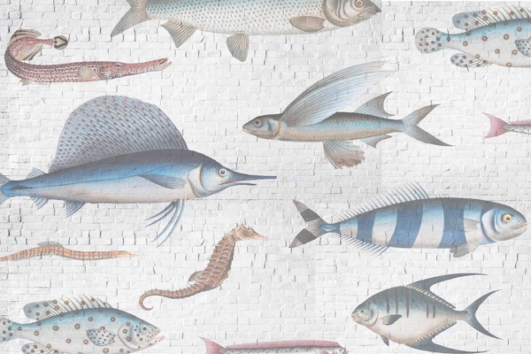Wallpaper features:
- Various sea creatures
- Fish with diverse shapes and patterns
- A seahorse
- A flying fish
- An eel
- Background: White brick wall
- Colors:
- Vibrant and colorful marine animals