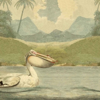 Illustration of a pelican with a large pouch sitting in a tranquil body of water. Background has lush, green landscape, tall trees, and mountains. Sky is cloudy. Colors: blue water, white pelican, green surroundings. Adage: