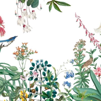 Wallpaper:
- Botanical illustration
- Various vibrant colored flowers and leaves
- Arranged around the edges
- Empty space in the center
- Birds perched on flowers and branches

Elements:
- Flowers: Roses, daisies, lilies (reds, pinks, yellows)
- Leaves: Ferns, eucalyptus (greens)
- Birds: Sparrows, hummingbirds (brown, green)