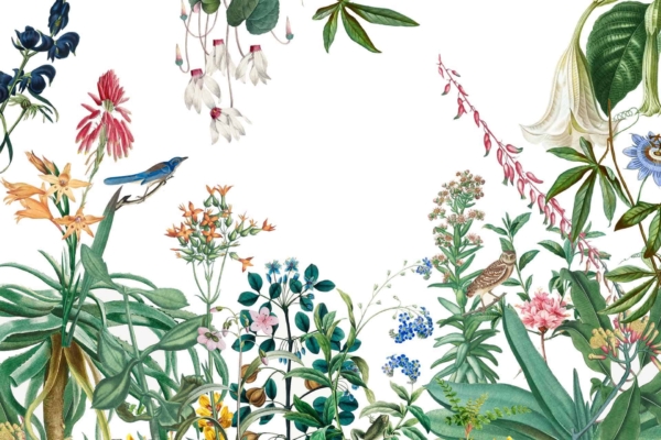 Wallpaper:
- Botanical illustration
- Various vibrant colored flowers and leaves
- Arranged around the edges
- Empty space in the center
- Birds perched on flowers and branches

Elements:
- Flowers: Roses, daisies, lilies (reds, pinks, yellows)
- Leaves: Ferns, eucalyptus (greens)
- Birds: Sparrows, hummingbirds (brown, green)