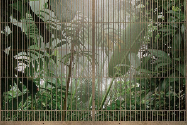 Wallpaper: Vertical metal bars, lush green jungle, dense foliage, tall plants, light accentuation. Contrast between vibrant natural environment and restrictive iron bars.