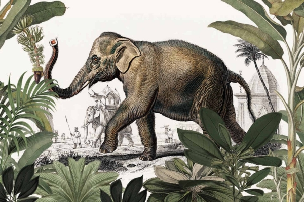 Illustration of an elephant walking rightwards. Background: troupe of smaller elephants and people, old-style buildings; evokes theater. Foreground: lush green plants add vibrancy. Key elements: elephant, smaller elephants, people, theater scene, old buildings, lush green plants. Colors: gray (elephant), vivid greens (plants), muted browns and creams (buildings), various colors for the troupe's attire.