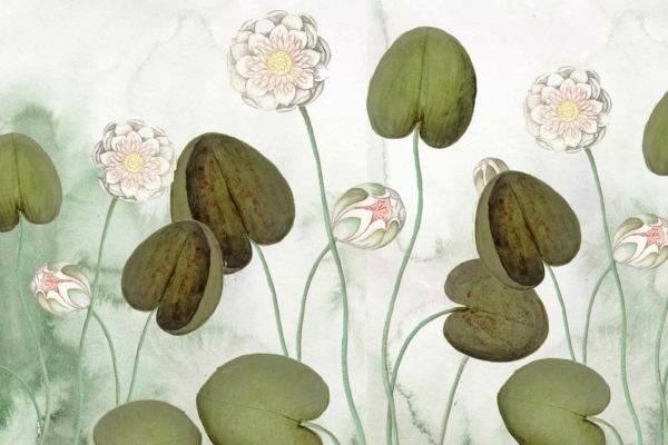 Wallpaper features: serene scene, lotus flowers, tiger lilies, green leaves, delicate white lotus blossoms, pink lotus blossoms, vibrant orange tiger lily blooms, slender stems. Background: soft watercolor-like effect.