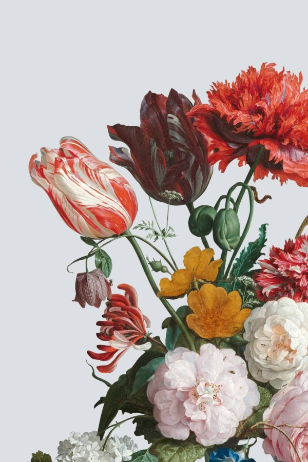 A bouquet wallpaper is vividly displayed with red and white tulips, bright red carnations, yellow blossoms, and textured green leaves. These elements are set against a serene pale blue background. The combination of vibrant colors with the calming backdrop creates a striking visual that captures attention effortlessly.