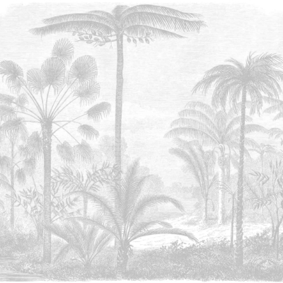 Title: Tropical Rainforest Storm Wallpaper
Description: An intricate black-and-white illustration of a tropical rainforest. Features include:
- Tall palm trees with large fronds
- Dense foliage and undergrowth of various plants
- Background with more trees, creating a misty atmosphere
- Lush, untamed jungle setting bracing for an impending storm
Elements & Colors:
- Black-and-white illustration
- Palm trees
- Large fronds
- Dense foliage
- Undergrowth plants
- Misty background
- Stormy atmosphere