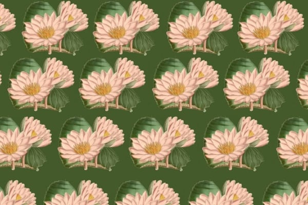Wallpaper pattern: Light pink wading lilies with detailed petals and yellow centers, green leaves, dark green background.