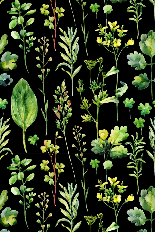 A seamless pattern with green and yellow botanical illustrations from an herb garden on a black background. Features detailed foliage, including leaves, stems, and small flowers. The design showcases various shades of green and yellow with intricate textures for a vibrant, natural look.