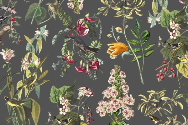 An ornate wallpaper featuring colorful birds perched on branches amidst vibrant flowers and leaves, all set against a dark grey background. Includes elements like tulips, ferns, and detailed botanical illustrations. Highlights include arrays of red, blue, green, yellow, pink, and orange hues. Immersive World of Birds design with intricate patterns.