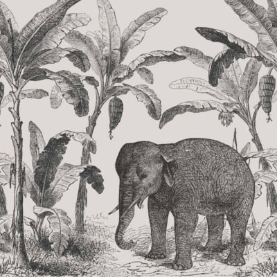 A detailed black and white wallpaper features an elephant standing amidst a grove of banana trees. The scene includes large, intricate leaves, bananas hanging in clusters, and delicate interwoven flowers. The wallpaper showcases the tranquil natural setting and the serene presence of the elephants. Key elements: elephant, banana trees, large leaves, clusters of bananas, flowers. Colors: black and white.
