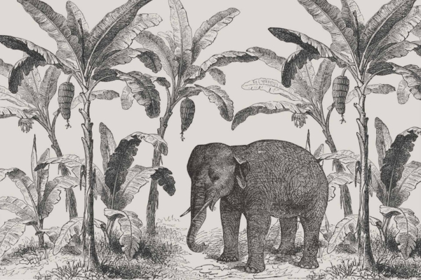 A detailed black and white wallpaper features an elephant standing amidst a grove of banana trees. The scene includes large, intricate leaves, bananas hanging in clusters, and delicate interwoven flowers. The wallpaper showcases the tranquil natural setting and the serene presence of the elephants. Key elements: elephant, banana trees, large leaves, clusters of bananas, flowers. Colors: black and white.