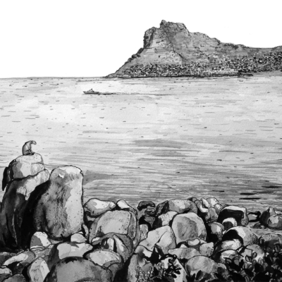 Wallpaper description: A black and white ink drawing. 

Elements: 
- Rocky coastline
- Large body of water
- Distant rugged cliffs on the horizon above Hout Bay
- Foreground figure sitting on a rock, back to viewer
- Sparse greenery along the shoreline
