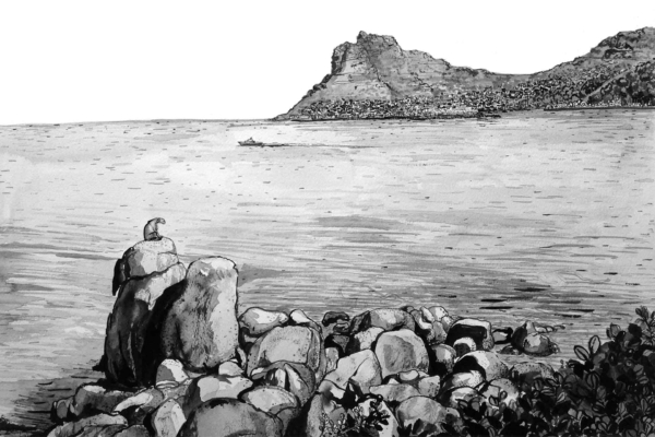 Wallpaper description: A black and white ink drawing. 

Elements: 
- Rocky coastline
- Large body of water
- Distant rugged cliffs on the horizon above Hout Bay
- Foreground figure sitting on a rock, back to viewer
- Sparse greenery along the shoreline