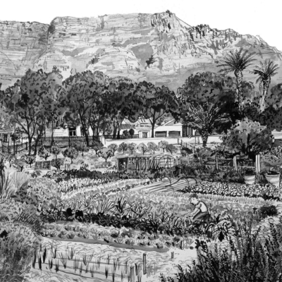 A detailed black and white illustration wallpaper portrays a vibrant community garden with orderly rows of diverse plants while a gardener attentively tends to the crops. The background features charming houses, tall trees, and an imposing mountain range against a clear sky. Elements include: lush garden rows, person tending crops, houses, trees, mountain range. Predominantly white foreground elements contrasted by black detailing captures the essence of OZF's harmonious connection with nature and community.