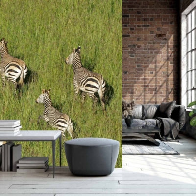 A large floor-to-ceiling wall mural showcases zebras running through green grass, featuring black-and-white stripes on the zebras and vibrant greens in the grass.