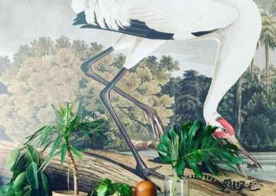 A stunning wall mural features a large white crane adorned with a red spot on its head, majestically perched on a tree branch in the midst of a lush, tropical forest. The background is vibrant with rich greenery and dense foliage. The foreground showcases verdant green plants adding layers of depth to the scenery. The color palette includes shades of emerald green, crisp white, deep forest greens, and bright red accents on the crane’s head, all harmonizing to create an exotic atmosphere for any home décor.
