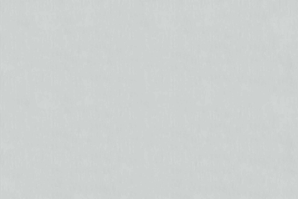 Plain light gray wallpaper with soft texture. No discernible features, patterns, or objects. Light gray color throughout.