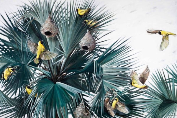 A vibrant wallpaper featuring lush green palms with intricately woven bird nests. Bright yellow birds, some perched and others in flight, populate the scene. The light, cloudy sky named Sky Sings 01 enhances the lively activity among the foliage. Key elements: green palms, woven bird nests, yellow birds, light cloudy sky (Sky Sings 01). Colors: green, yellow, light blue.