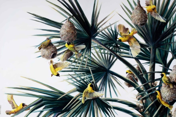 Wallpaper features: yellow birds, black heads, woven nests, green palm tree branches. Elements: birds in flight, birds tending nests. Colors: yellow, black, green. Background: clear blue sky.
