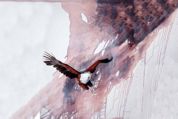 Abstract watercolor wallpaper featuring shades of brown, white, and pink. Fluid and textural backdrop with colors blending seamlessly. Deep contrasts highlighting detailed feathers of a soaring bald eagle with outstretched wings.