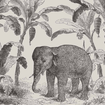 A vintage-style black and white wallpaper illustration showcases an elephant among tall banana trees with hanging clusters of bananas. Intricate textures detail the elephant and foliage. Dark shades emphasize natural elements creating a nostalgic ambiance like where swallows fly.