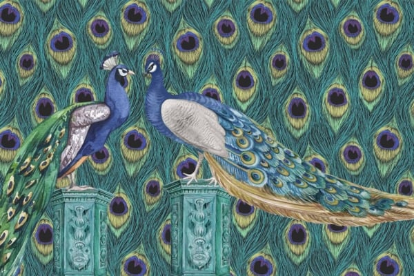 The wallpaper features a richly textured and colorful scene adorned with detailed peacock feather patterns. Vibrant peacocks face each other, exuding elegance and grandeur. The background showcases an intricate palette of blues, greens, and golds complemented by hints of turquoise. The ornate design captures swirling feathers with luminous eyespots in shades of vibrant green and electric blue interspersed with golden accents for a dazzling effect.

Elements: Peacock feather patterns, vibrant blues & greens, turquoise pedestals
Colors: Blues (electric blue), Greens (vibrant green), Golds (golden accents)
