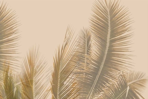 A collection of tropical palm fronds against a beige background; varying directions and sizes create texture. Light filters through for a calming, minimalist botanical design. Elements: tropical, palm fronds, beige background, textured, light filtering. Colors: beige, green shades. Keywords: artistic wallpaper, minimalist design.