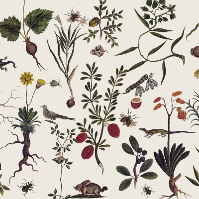 **Botanical Vintage Wallpaper Illustration**

Elements:
- **Plants**: Varieties of ferns, ivy, and flowering vines.
- **Roots and Leaves**: Detailed root systems; broad leaves of sage green to deep forest green hues.
- **Flowers**: Blossoms in shades of pastels—pinks, lavenders, soft yellows.
- **Wildlife**:
  - Insects: Delicate butterflies with vibrant wings, honeybees detailed in golden yellows and blacks.
  - Birds: Swallows depicted mid-migration with blues and whites accentuating flight patterns.
  - Lizards: Intricate scales highlighted in emerald greens and browns.
  - Small Mammal: Graceful depiction of a shrew or vole in earthy tones.

Color Palette:
- Light background
- Greens (sage, forest)
- Pastels (pink, lavender)
- Yellows (soft yellow to gold)
  
Detailing:
Intricately labeled elements ensuring fine lines and subtle shading enhance the vintage appeal.