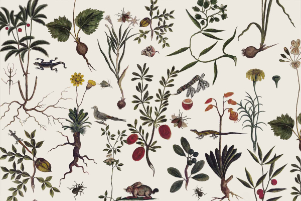 **Botanical Vintage Wallpaper Illustration**

Elements:
- **Plants**: Varieties of ferns, ivy, and flowering vines.
- **Roots and Leaves**: Detailed root systems; broad leaves of sage green to deep forest green hues.
- **Flowers**: Blossoms in shades of pastels—pinks, lavenders, soft yellows.
- **Wildlife**:
  - Insects: Delicate butterflies with vibrant wings, honeybees detailed in golden yellows and blacks.
  - Birds: Swallows depicted mid-migration with blues and whites accentuating flight patterns.
  - Lizards: Intricate scales highlighted in emerald greens and browns.
  - Small Mammal: Graceful depiction of a shrew or vole in earthy tones.

Color Palette:
- Light background
- Greens (sage, forest)
- Pastels (pink, lavender)
- Yellows (soft yellow to gold)
  
Detailing:
Intricately labeled elements ensuring fine lines and subtle shading enhance the vintage appeal.