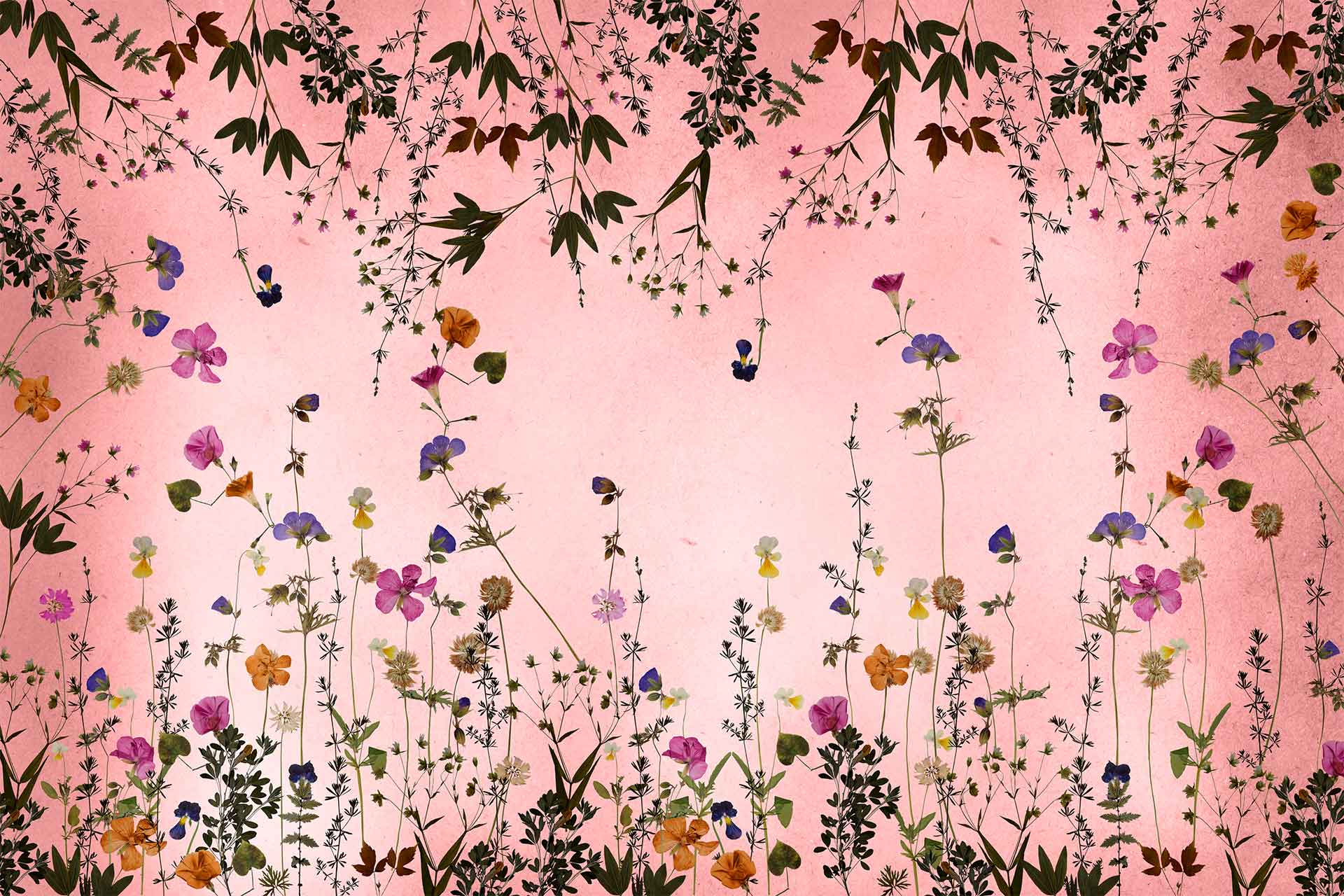 Artistic illustration of wildflowers wallpaper: vibrant pink background adorned with various wildflowers in shades of purple, yellow, blue, and orange. Interspersed greenery adds a whimsical touch. Ideal for search terms: whimsical floral wallpaper, vibrant flower illustration, colorful wildflowers on pink background.