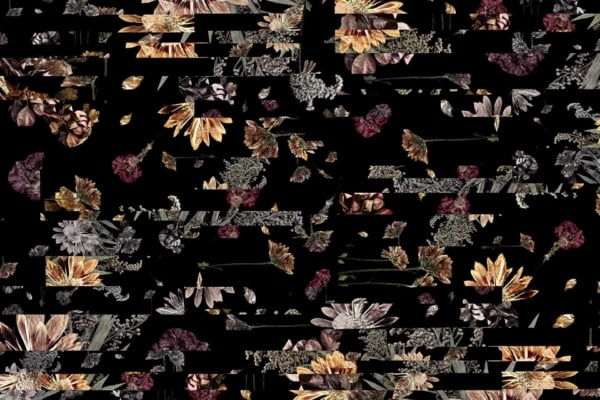 Abstract image featuring fragmented floral patterns in muted colors, set against a black background. The floral fragments are broken into rectangular segments spread unevenly throughout the image, creating a disjointed, artistic collage effect. This wallpaper captures a Mineral Moment of natural beauty and creative chaos with its blend of soft pastels and dark contrast. Key elements include floral fragments, rectangles, muted colors, black background, collage effect, and artistic disarray perfect for aesthetic enthusiasts seeking unique designs.