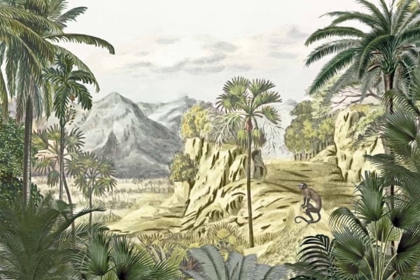 Wallpaper showcases a lush, illustrative landscape with vibrant tropical plants like palm trees and ferns. Mist-covered mountains create the serene backdrop. A monkey adds wildlife charm, perched on a rock to the right side. Rich greens, delicate foggy hues, and detailed botanical illustrations dominate the design.