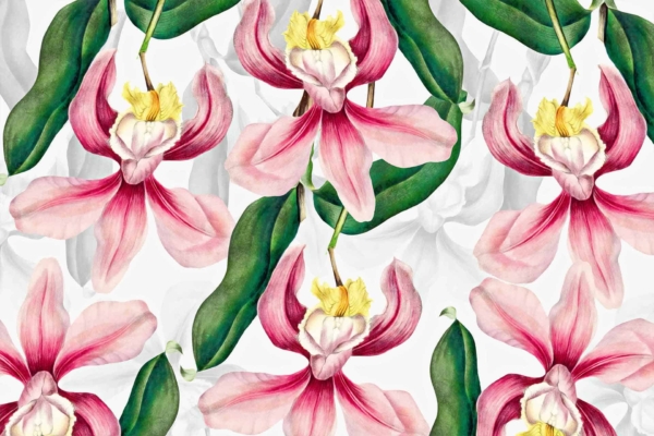 Large pink flowers, yellow centers, green leaves, white background. Flowers resemble orchids with soft gradients of pink petals and natural leaf textures. Fresh botanical aesthetic for garden party wallpaper.