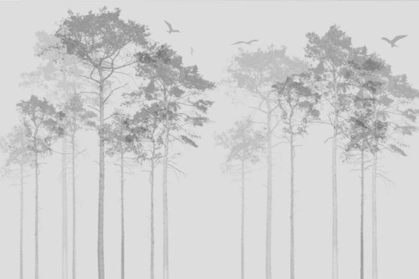 Grayscale wallpaper featuring a serene, misty forest scene with tall, slender Scotch Pine trees. Sparse branches and foliage. Several birds flying above the trees add tranquility and natural beauty. Elements: forest, trees, Scotch Pine, misty atmosphere, flying birds. Colors: shades of gray.