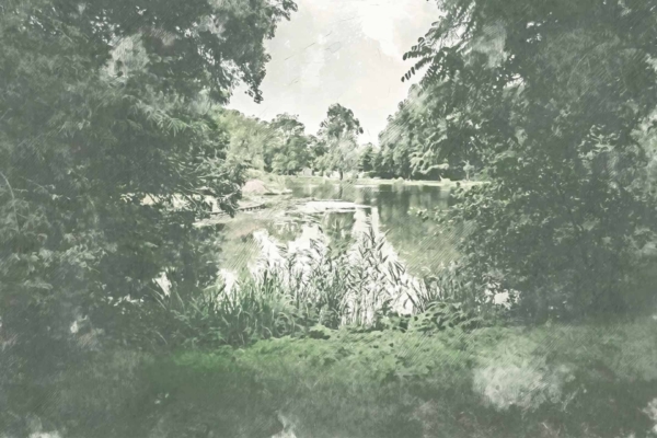 Wallpaper depicts a serene, picturesque scene with green-tinged landscape, quiet lake, lush trees, and rich vegetation. Partially cloudy sky and reflective water. Colors: green, blue, white. Elements: tranquil lake, foliage reflection.