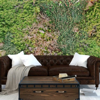 Forest-inspired wallpaper with lush green plants, rich foliage patterns, vibrant shades of green, and elements reminiscent of forest undergrowth.