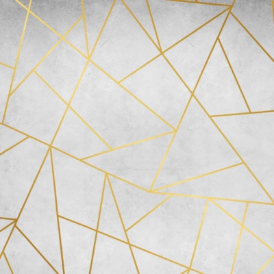 A geometric abstract background featuring irregular gold lines creating polygonal shapes on a light gray and white textured backdrop. The design boasts a modern and stylish look, with the striking gold contrasts against the soft background reminiscent of a Silverback's strength. Key elements: irregular gold lines, polygonal shapes, light gray and white texture.