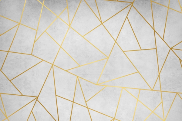 A geometric abstract background featuring irregular gold lines creating polygonal shapes on a light gray and white textured backdrop. The design boasts a modern and stylish look, with the striking gold contrasts against the soft background reminiscent of a Silverback's strength. Key elements: irregular gold lines, polygonal shapes, light gray and white texture.